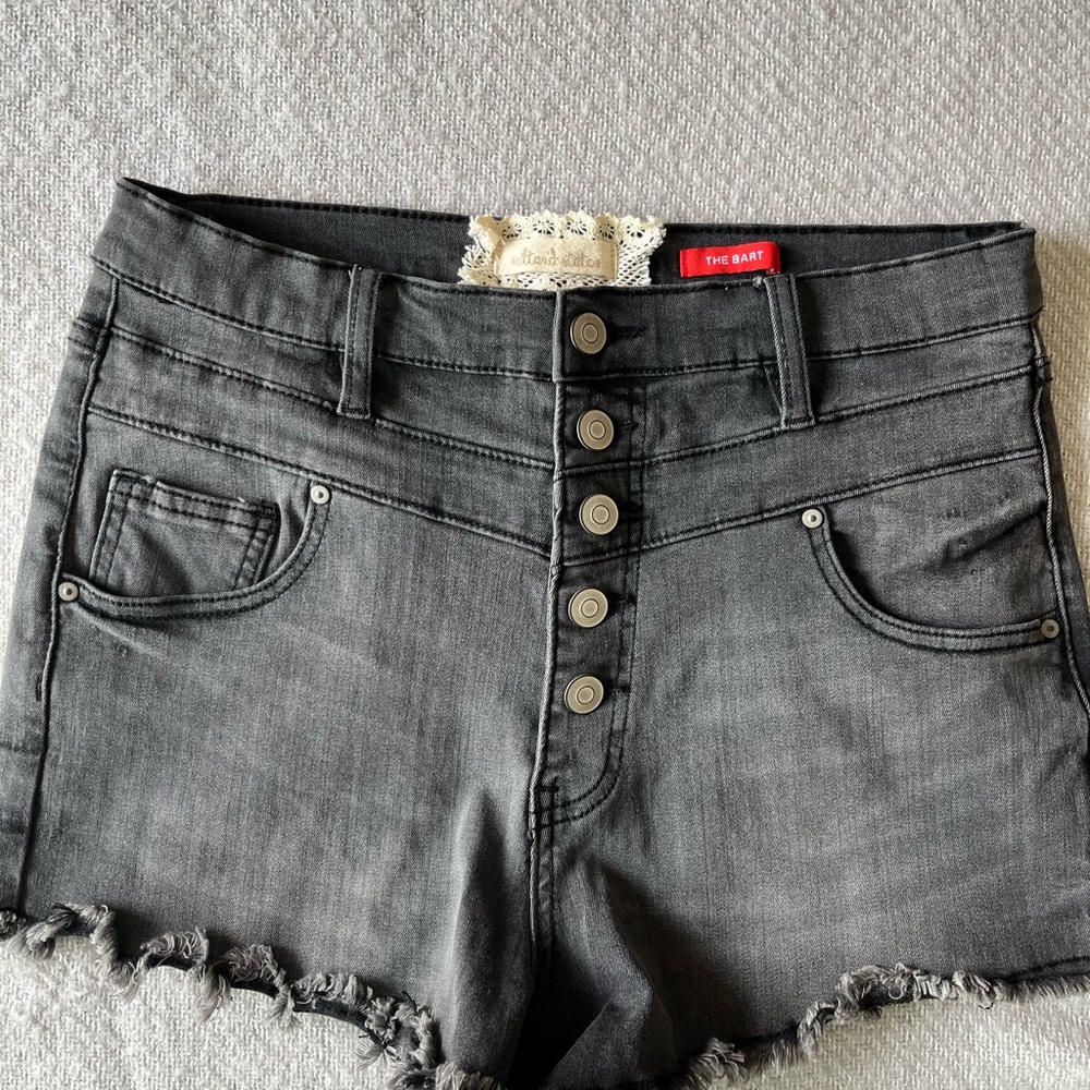 Altard State Black Denim Shorts